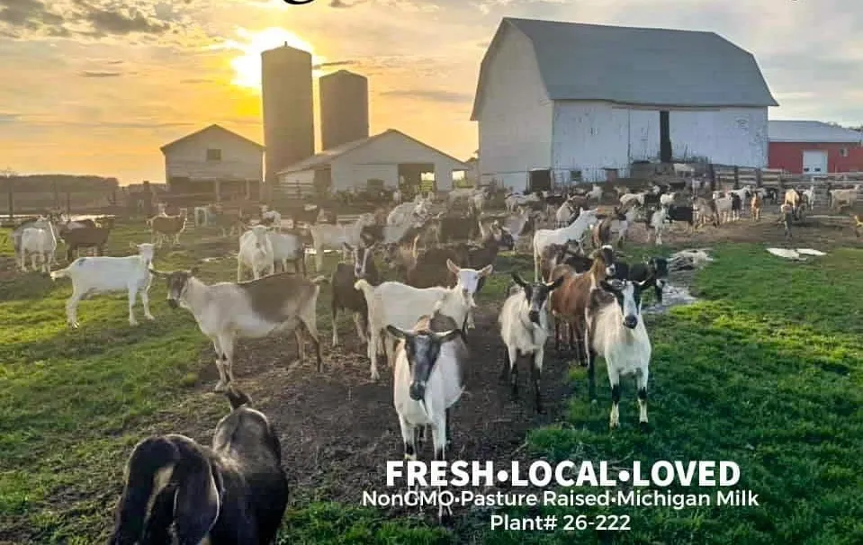 Brookwood Farms/ Goats Best