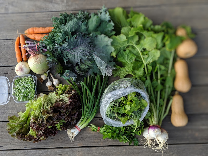 Wild Hope Farm