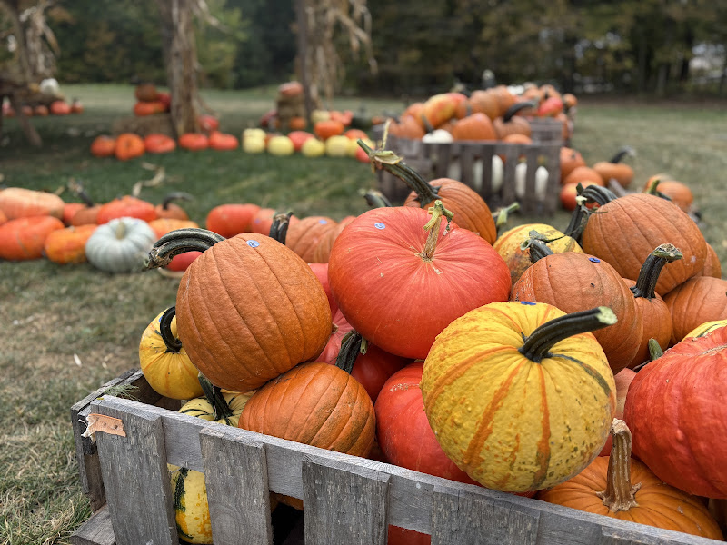 Muddy Meadows Farm & Market photo 2