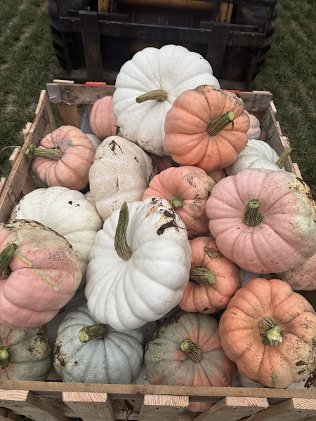 Muddy Meadows Farm & Market photo 3