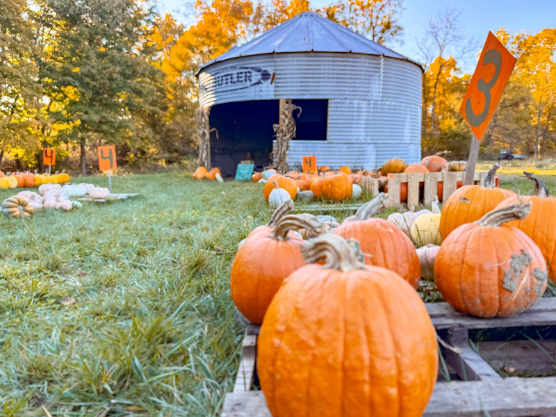 Muddy Meadows Farm & Market photo 4