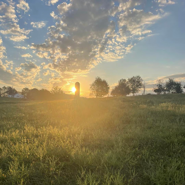 Stone Cross Farm photo 3