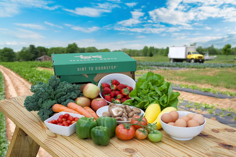 Seasonal Roots photo 2