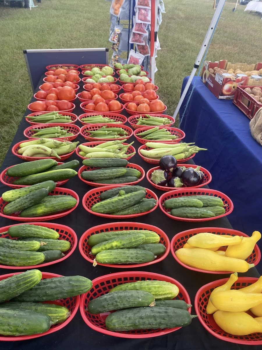 Hazel Valley Farms, LLC. photo 5