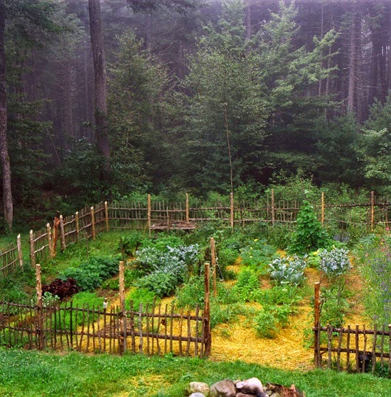 Crush Berry Gardeners