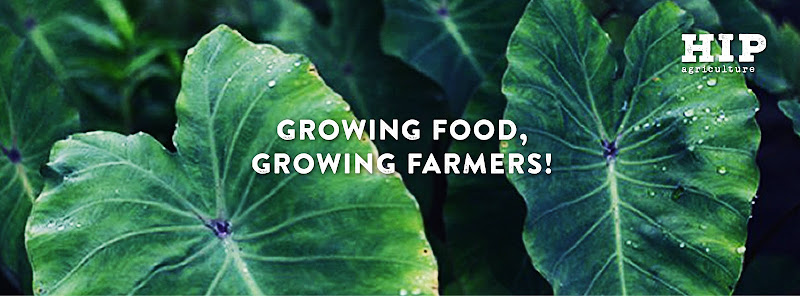 Hawai'i Institute of Pacific Agriculture