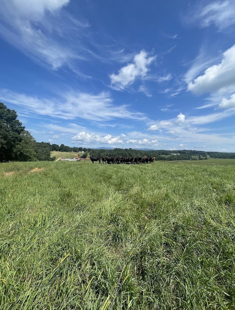 Providence Farmstead photo 3