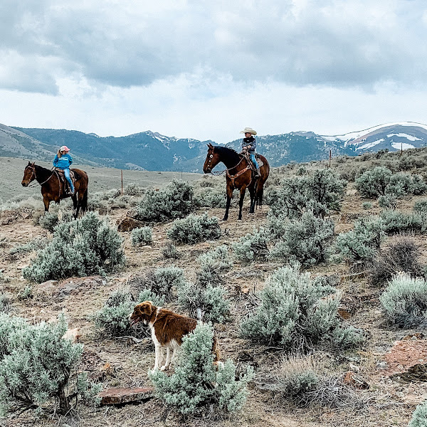 Thomas Cattle Company