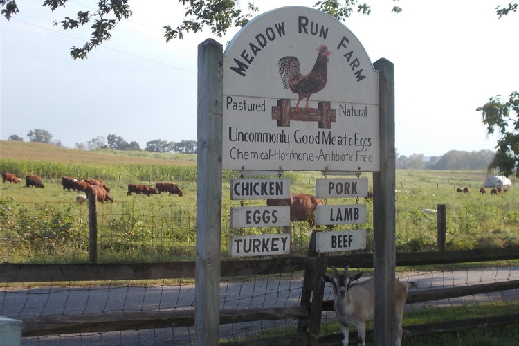 Meadow Run Farm