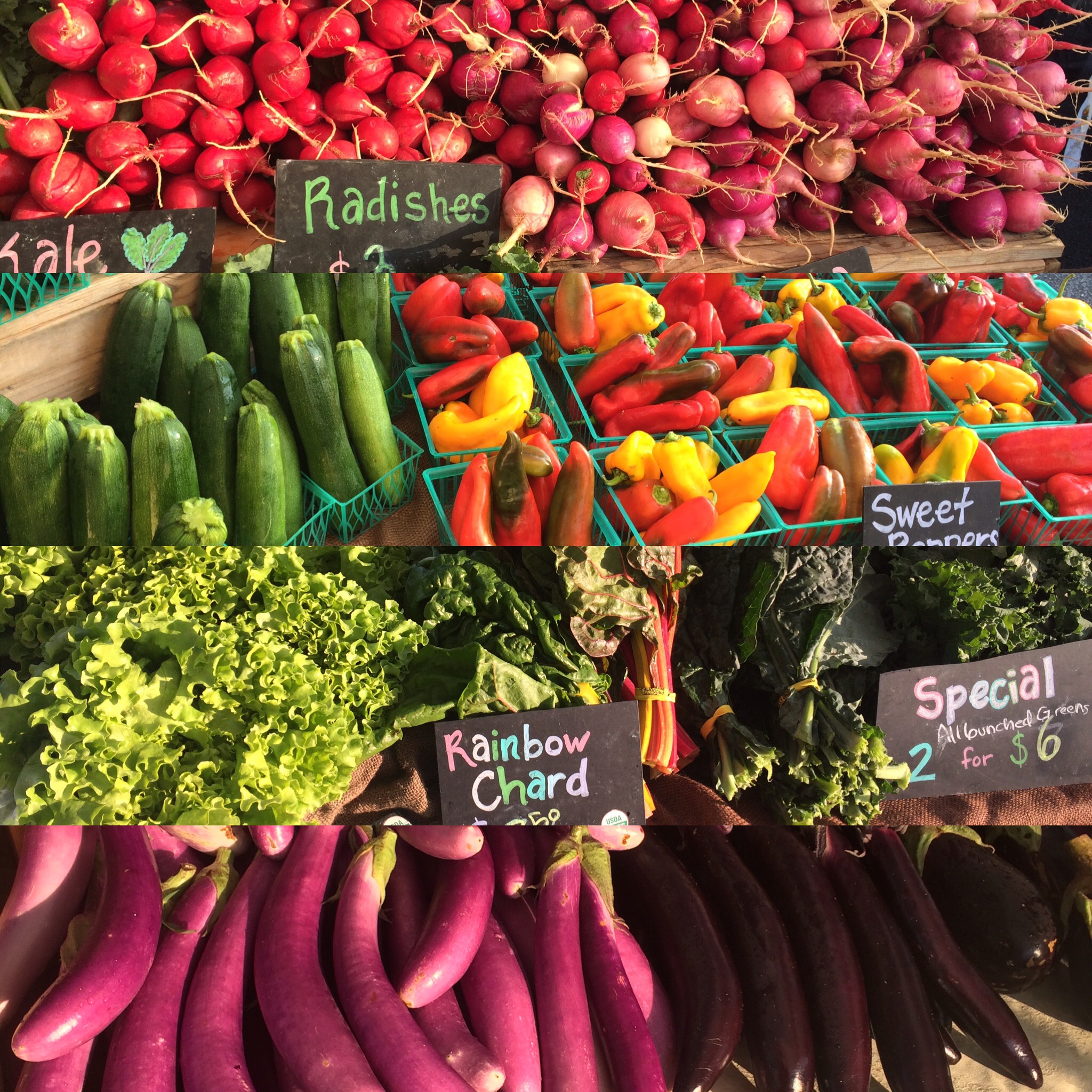Nourishing Acres photo 4