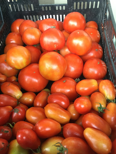 Five Points Heritage Farm photo 2