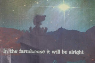 Hollow Pumpkin Farm photo 13