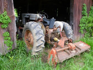 Hollow Pumpkin Farm photo 16