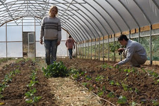 Hollow Pumpkin Farm photo 17