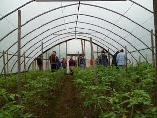 Hollow Pumpkin Farm photo 3