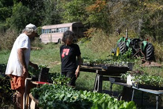 Hollow Pumpkin Farm photo 4