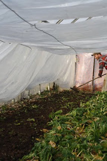 Hollow Pumpkin Farm photo 9