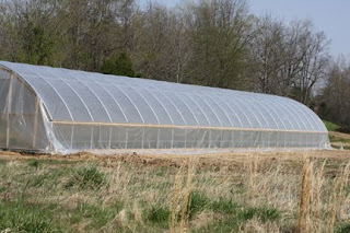 Hollow Pumpkin Farm photo 10