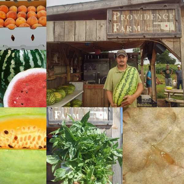 Providence Farms photo 4