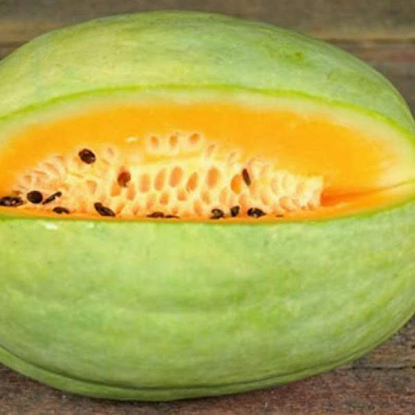 Providence Farms photo 5