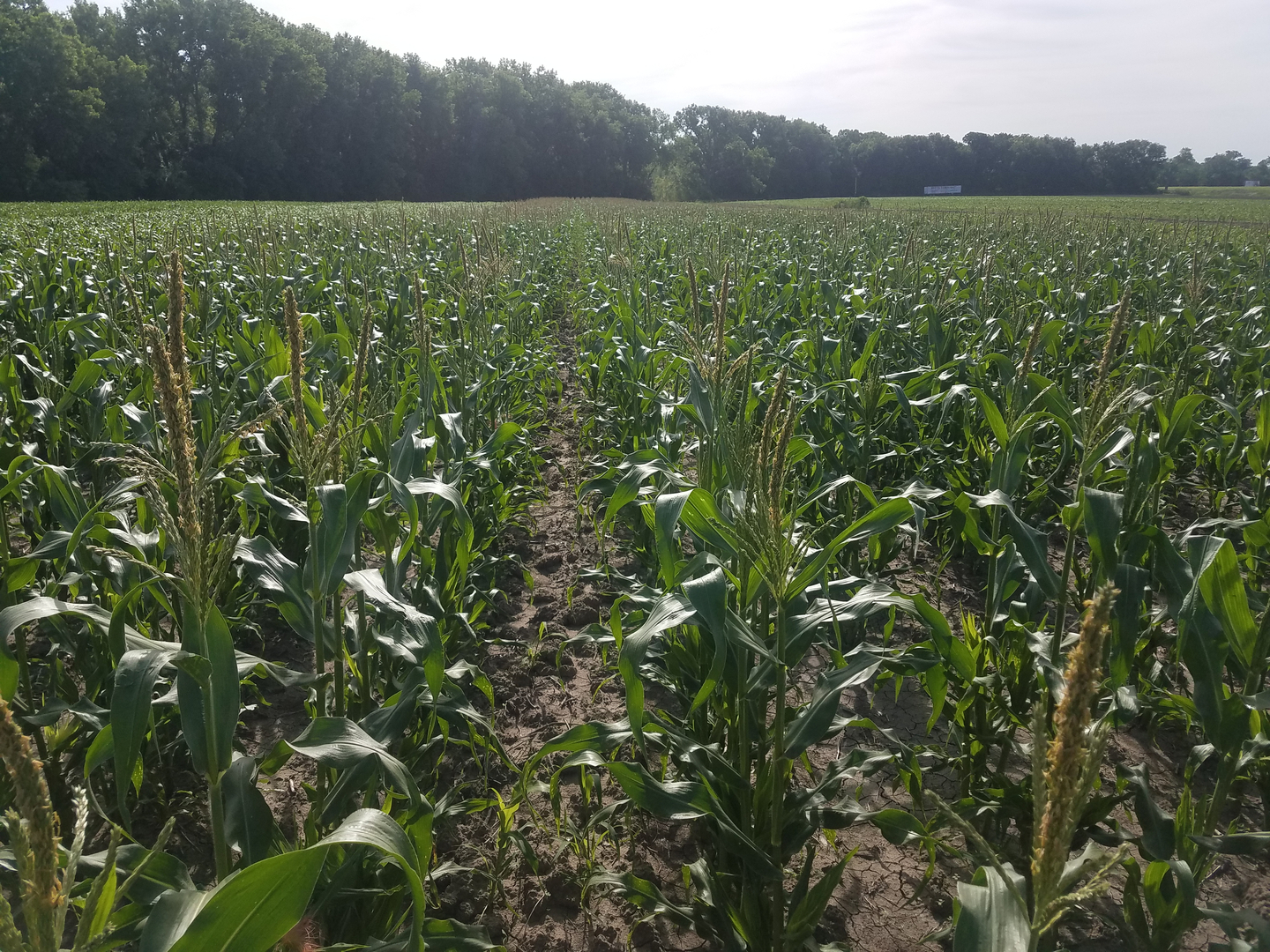 Britt's Garden Acres photo 9