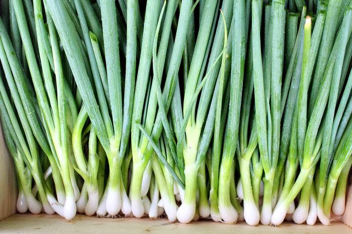 Creekside Natural Farm, Inc