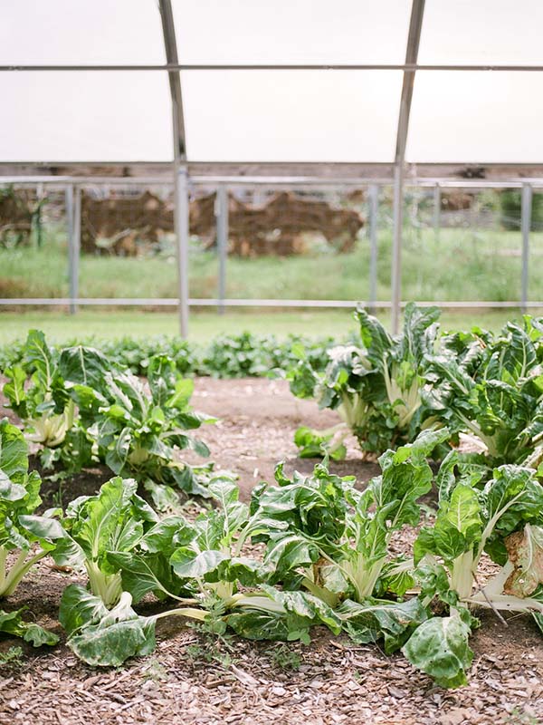 Blackwood Educational Land Institute