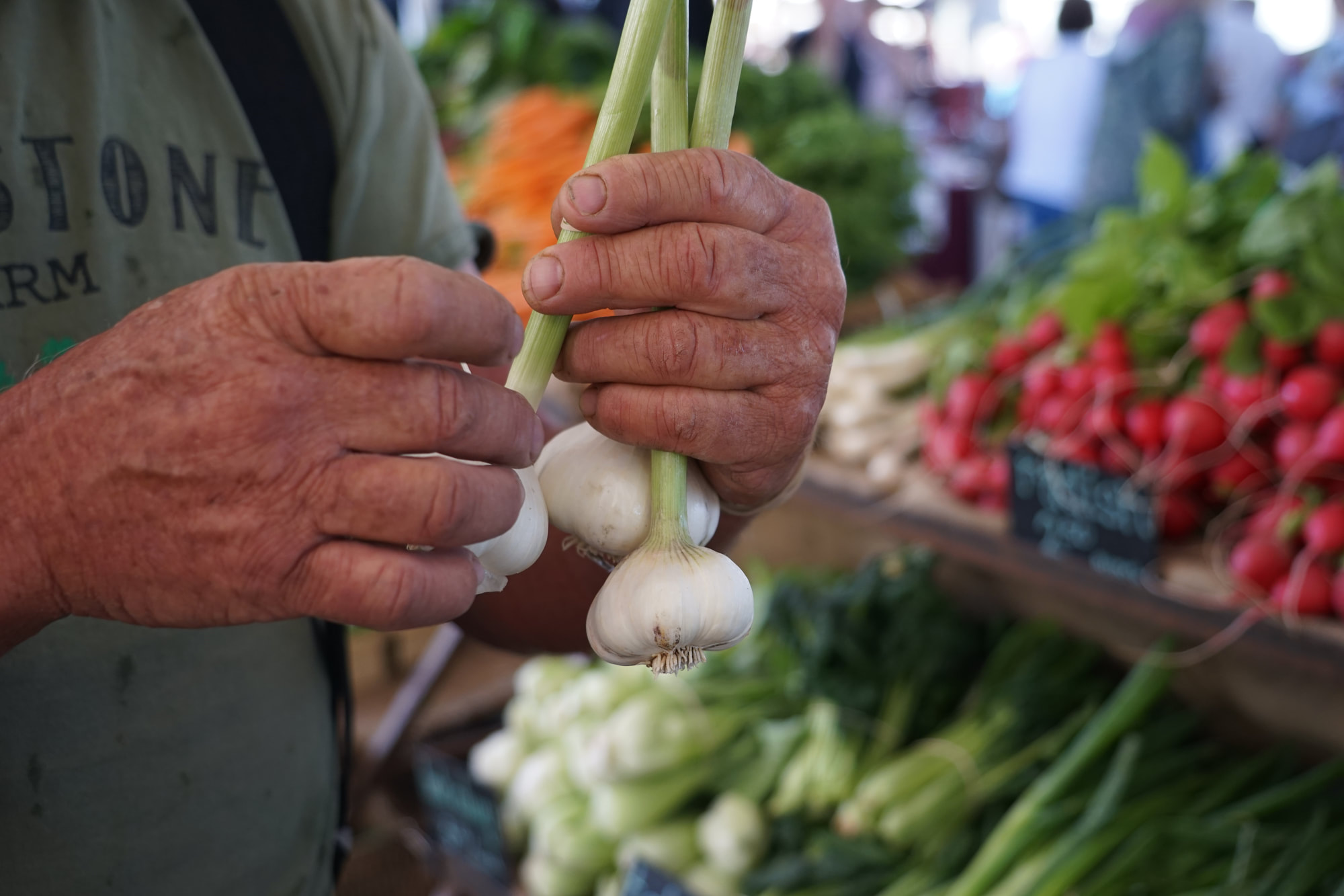 Flagstaff Community Farmers Market