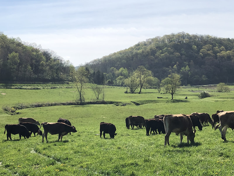 Cates Family Farm photo 13