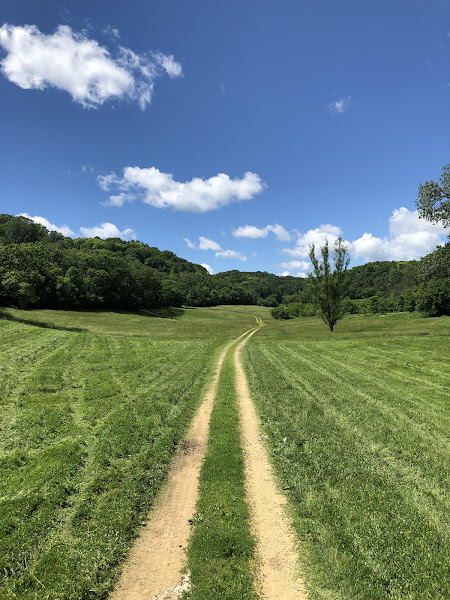Cates Family Farm photo 14