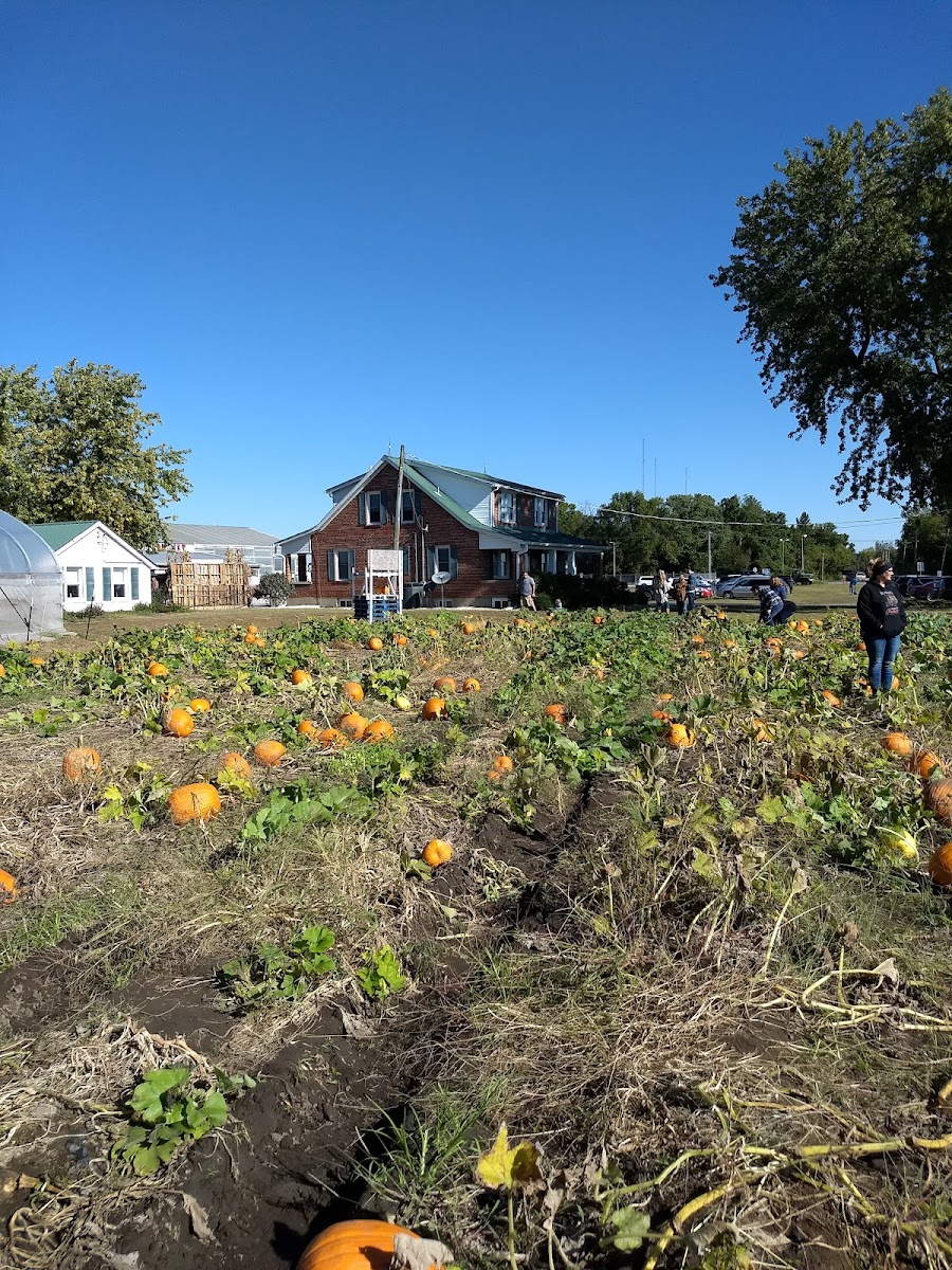 Hermans Farm Orchard photo 5