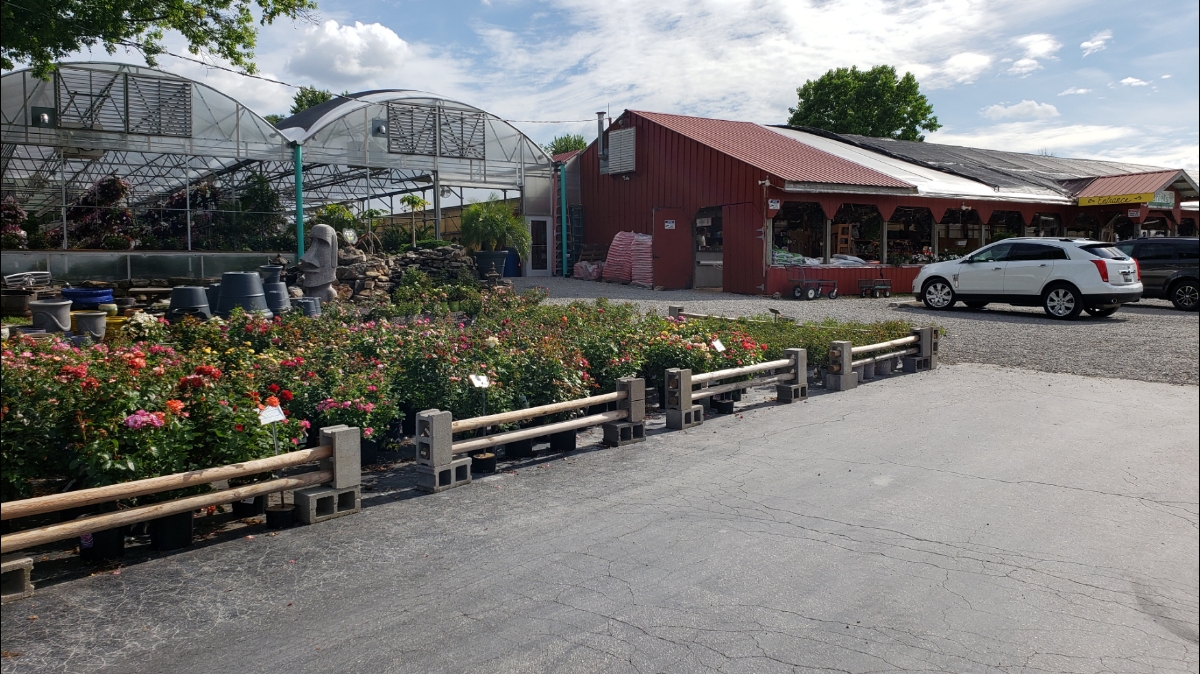 Hermans Farm Orchard photo 7
