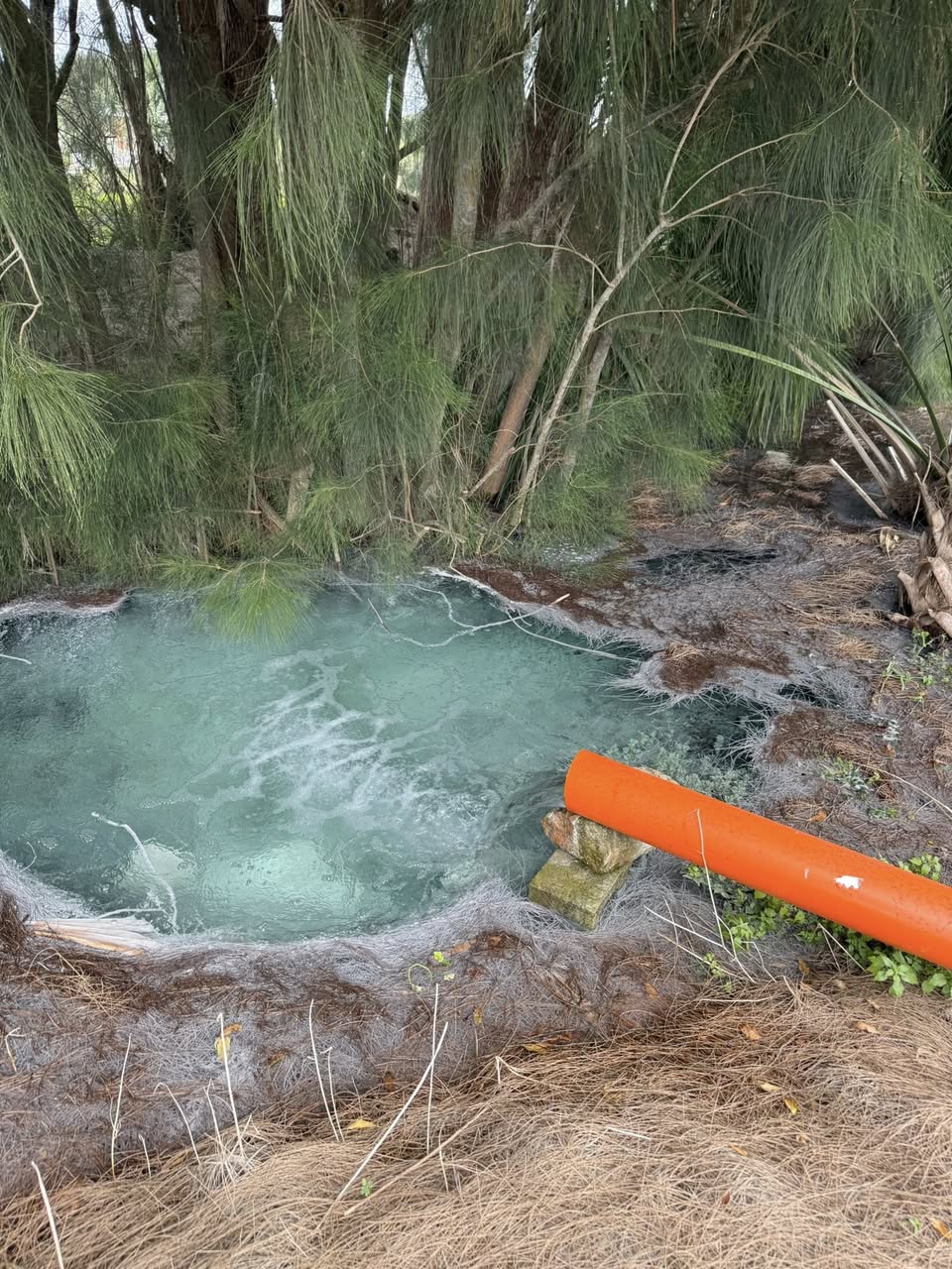 Florida Research Center for Agricultural Sustainability