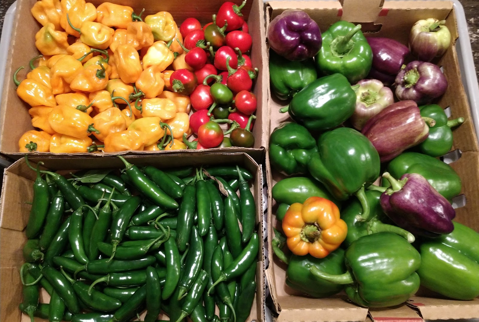 Lawson Farmers' Market photo 4