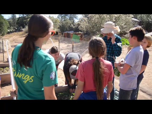 Prescott Farmers Market