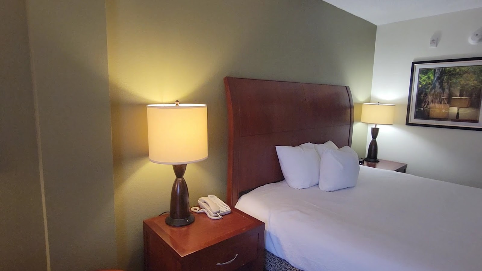 Garden District Urban Farm photo 10