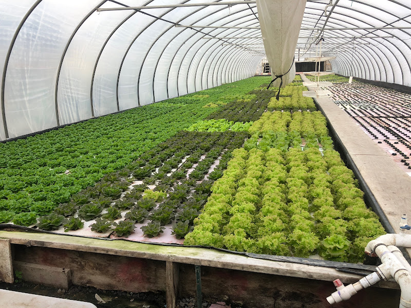 Tega Hills Farm