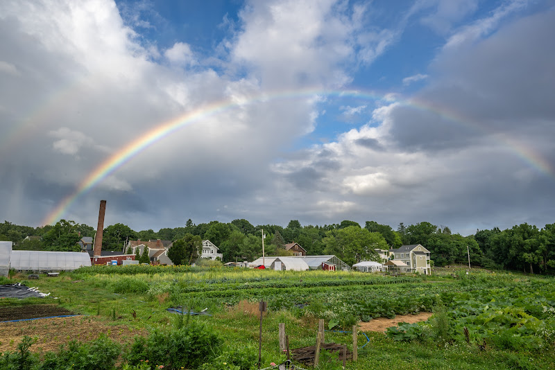 Lexington Community Farm