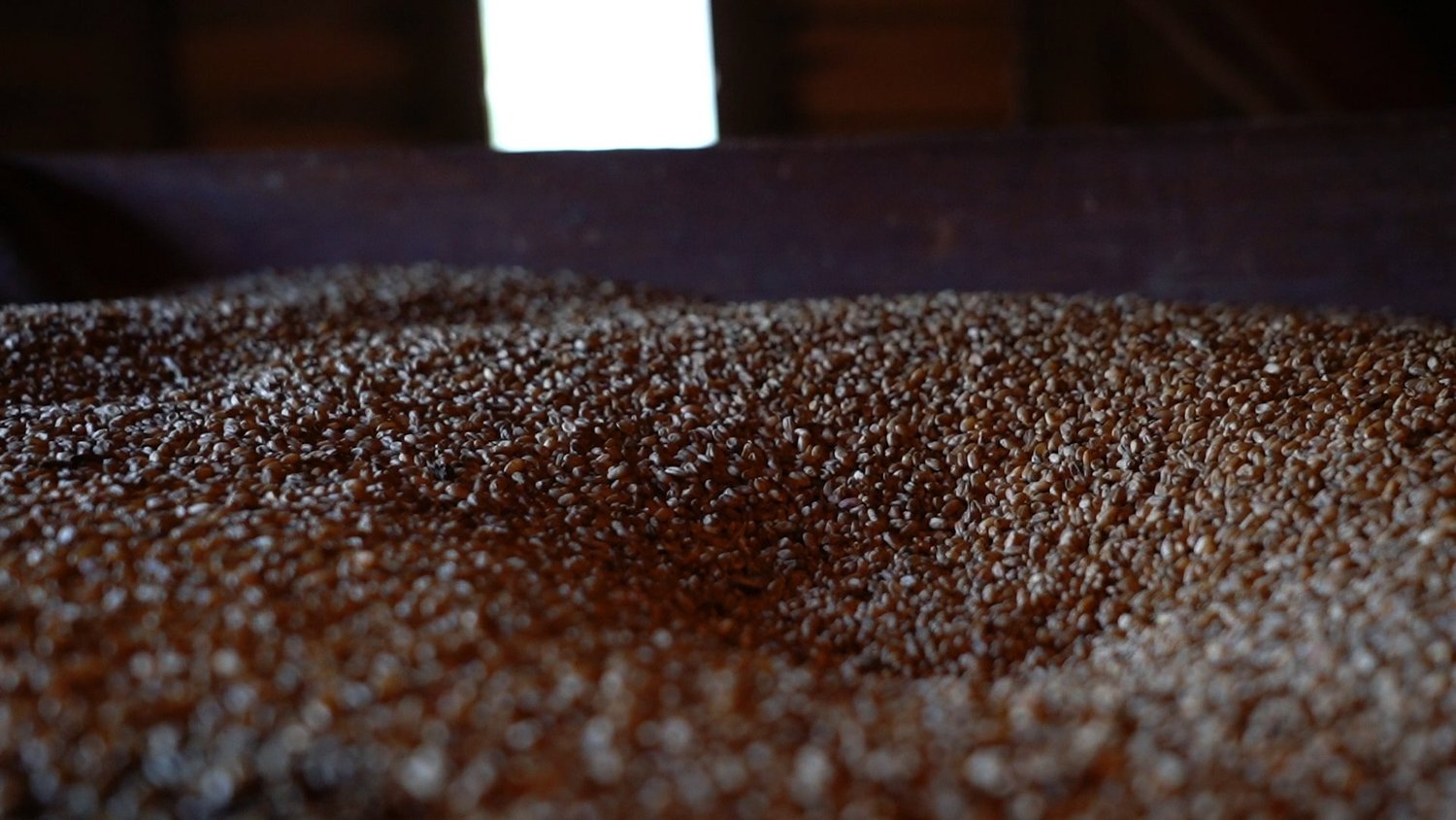 Deep Roots Milling at Woodson's Mill photo 26