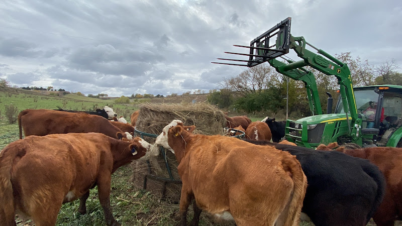 Barreras Family Farm photo 3