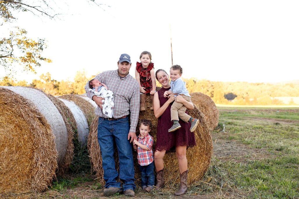 Fawn-View Meadow Farm photo 3