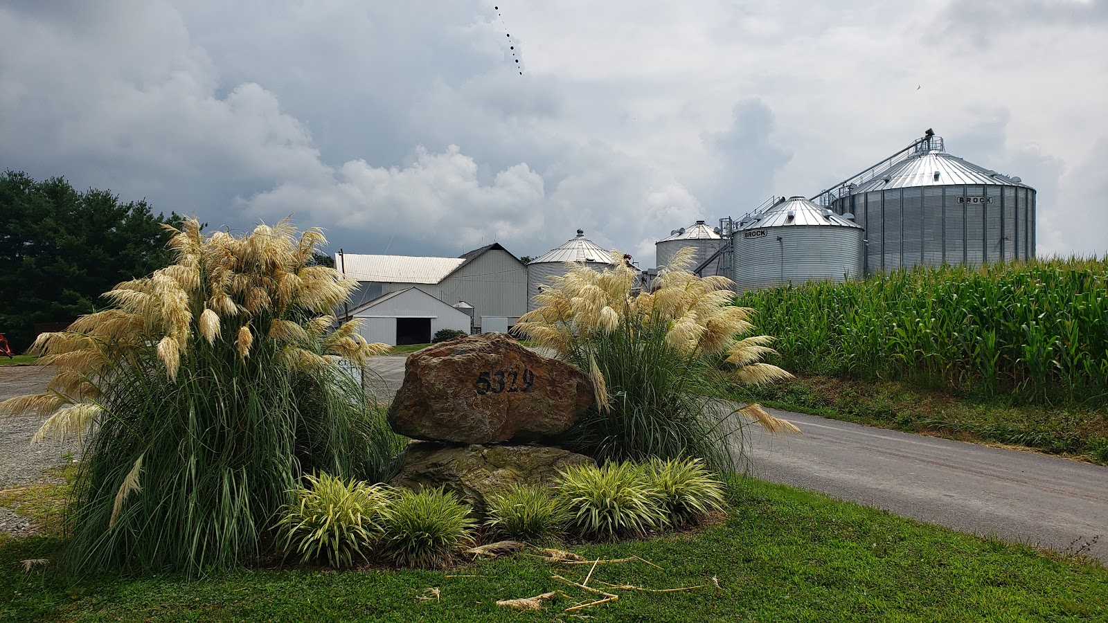 Fawn-View Meadow Farm photo 4