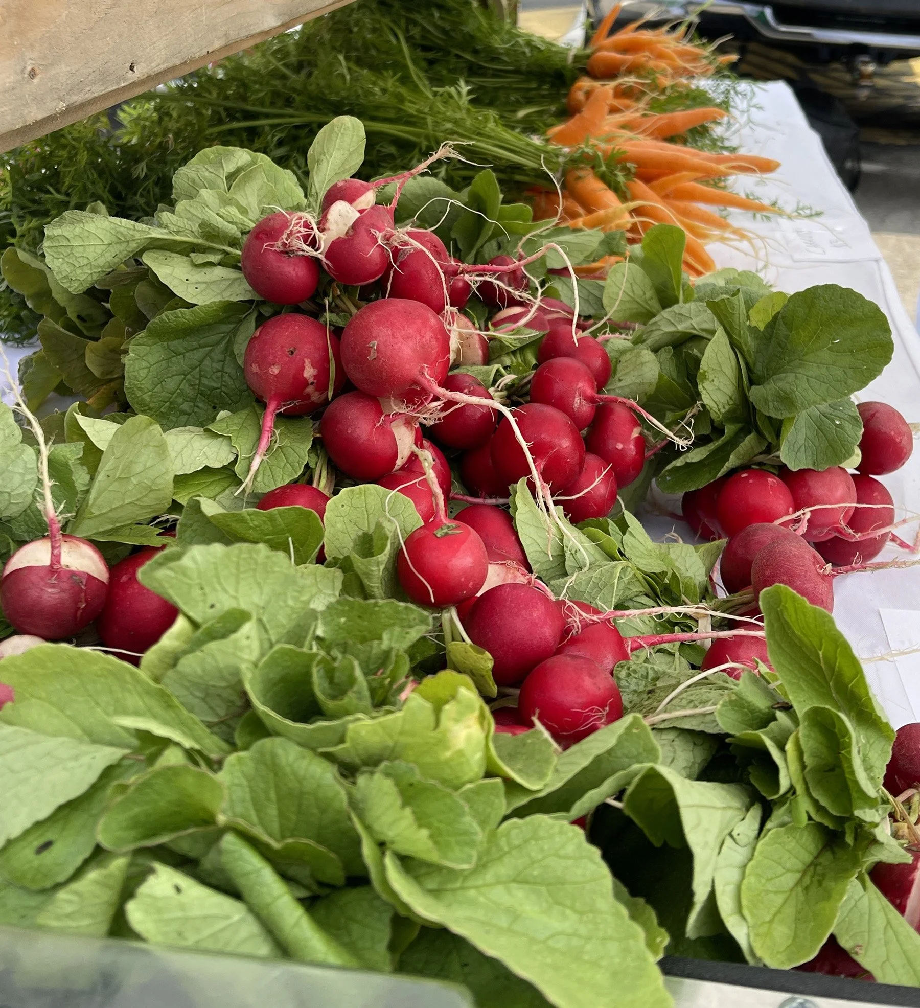 Easthampton Farmers' Market