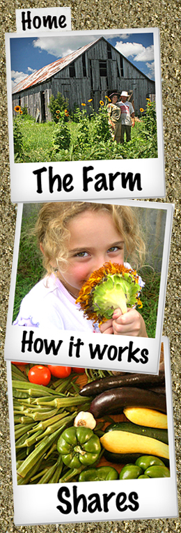 A Place on Earth CSA Farm