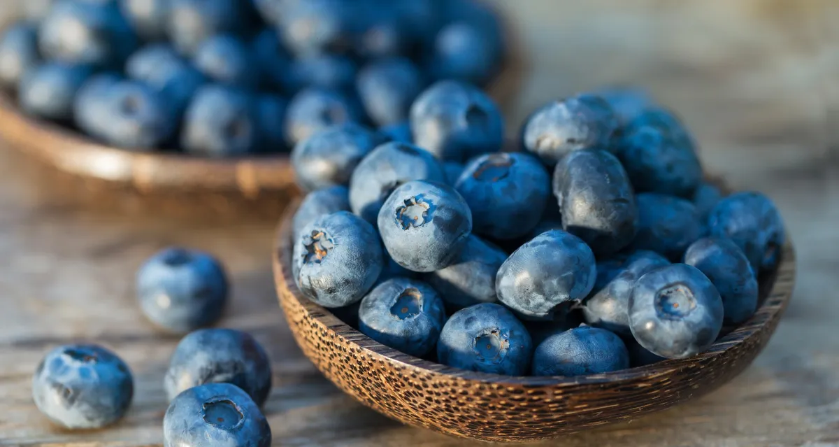 Blue Honey Farms
