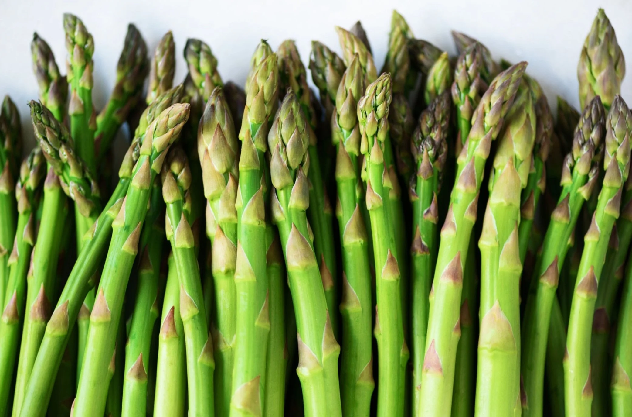 Bronxville Saturday Farmer's Market