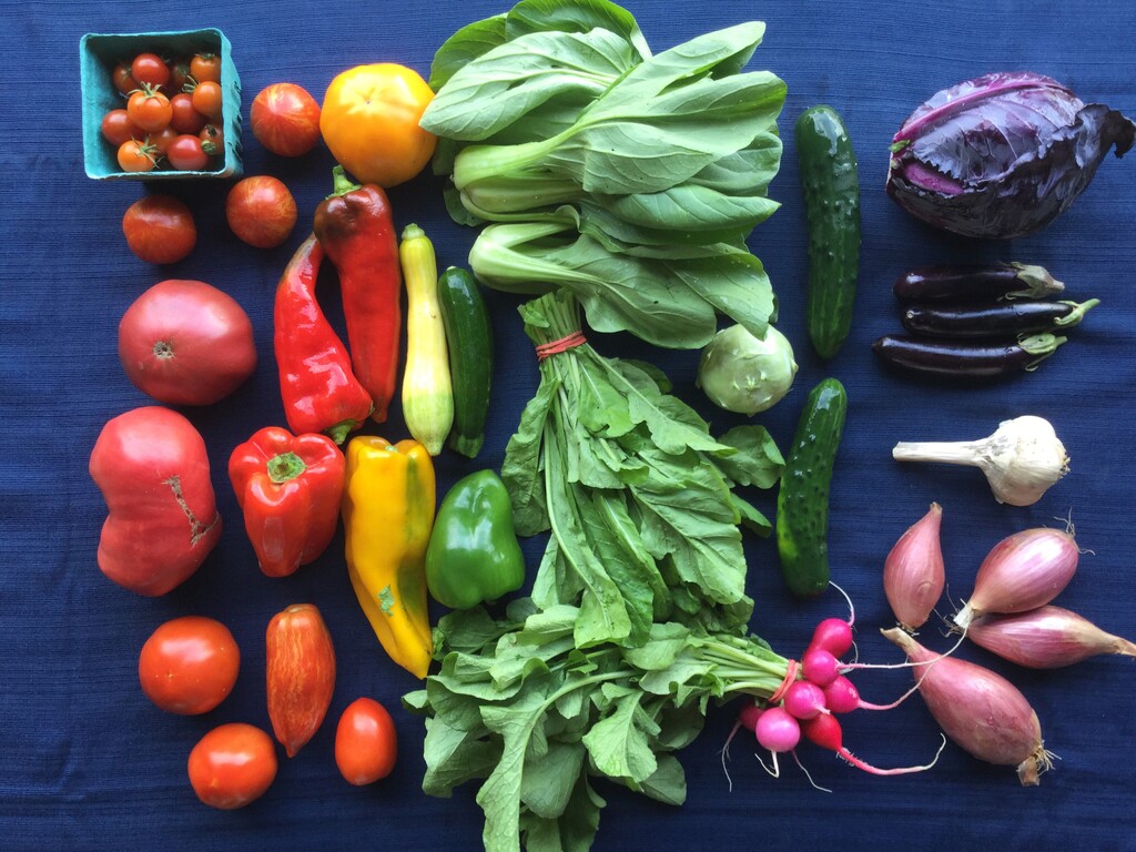 Meadowlark Community Farm