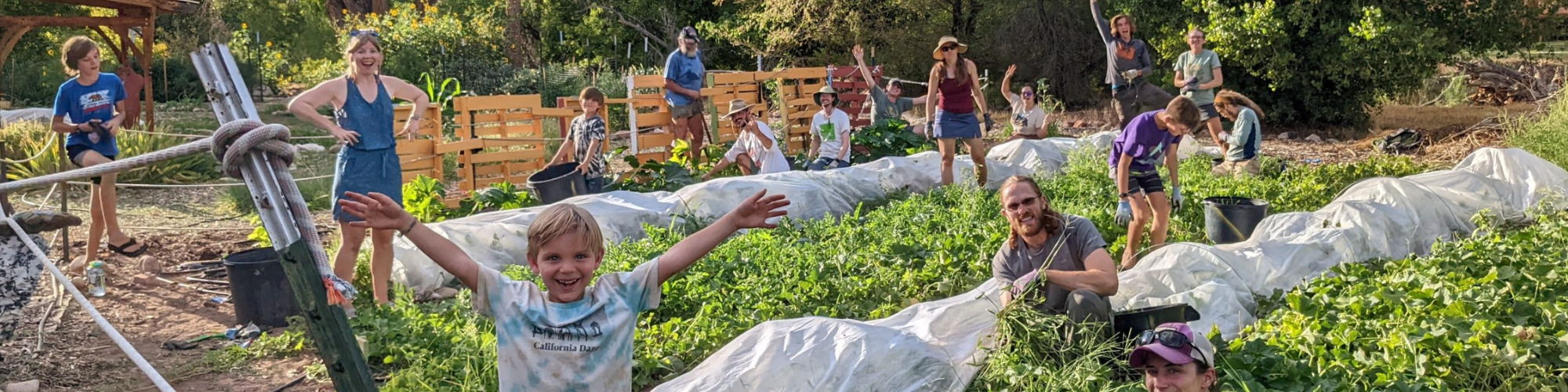 Youth Garden Project