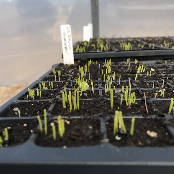 Night Owl Farm photo 2