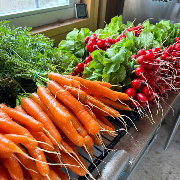 Night Owl Farm photo 3